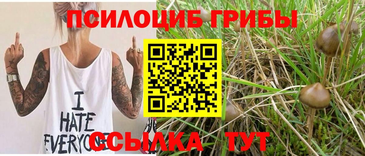 Галлюциногенные грибы мухоморы  купить наркоту  Новодвинск  Вход с VPN 